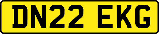 DN22EKG