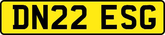 DN22ESG