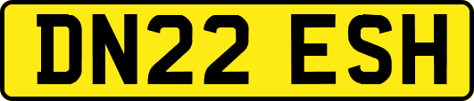 DN22ESH