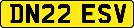 DN22ESV