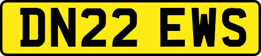 DN22EWS