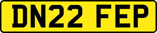 DN22FEP