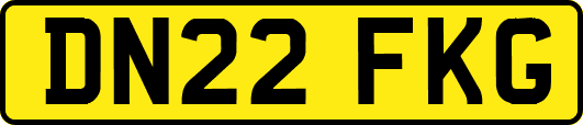 DN22FKG