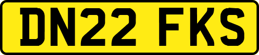 DN22FKS