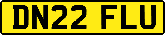 DN22FLU