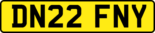 DN22FNY