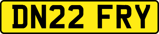 DN22FRY