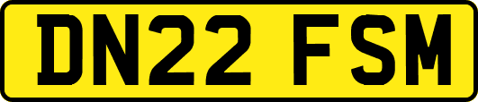 DN22FSM