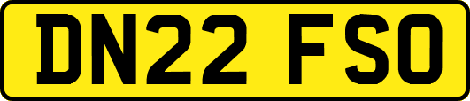 DN22FSO
