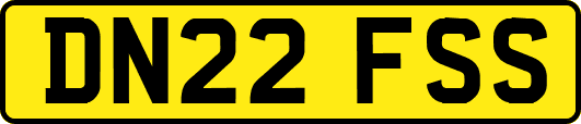 DN22FSS