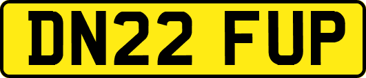 DN22FUP