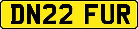 DN22FUR