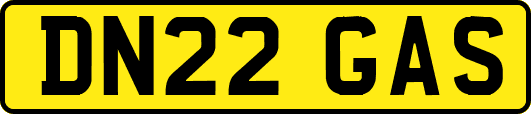 DN22GAS