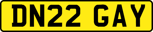 DN22GAY