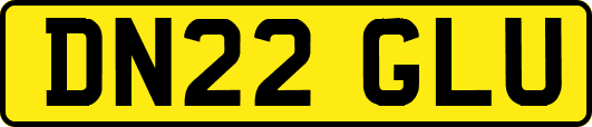 DN22GLU