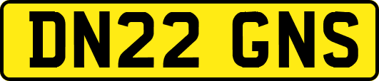 DN22GNS