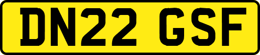 DN22GSF