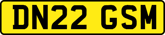 DN22GSM