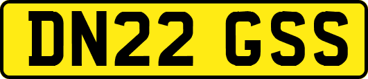 DN22GSS