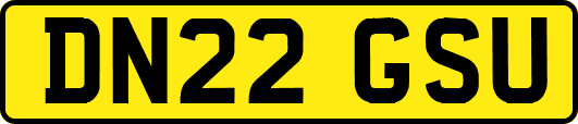 DN22GSU