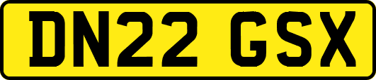 DN22GSX