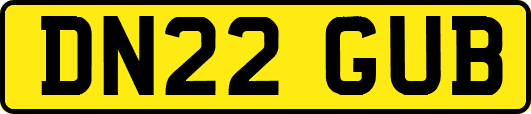 DN22GUB