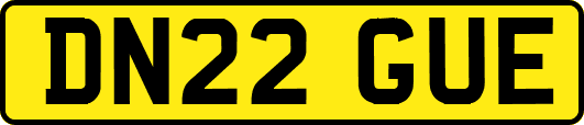 DN22GUE