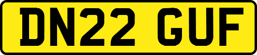 DN22GUF