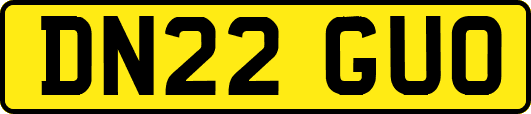 DN22GUO