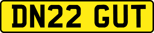 DN22GUT