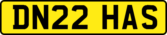 DN22HAS