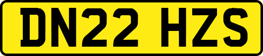DN22HZS