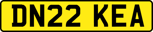 DN22KEA