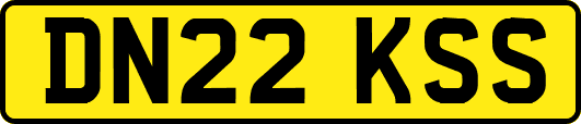 DN22KSS