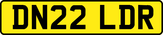 DN22LDR