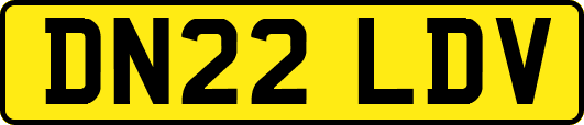 DN22LDV