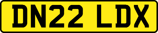 DN22LDX