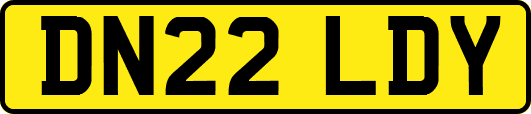 DN22LDY