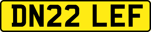 DN22LEF