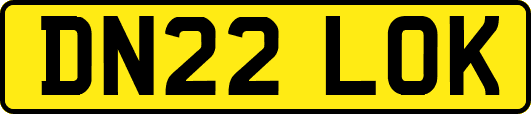 DN22LOK