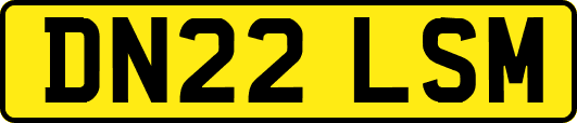 DN22LSM