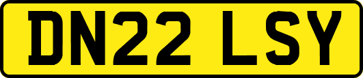 DN22LSY