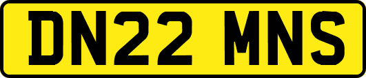 DN22MNS