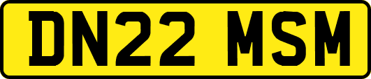 DN22MSM