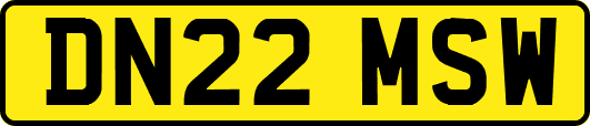 DN22MSW
