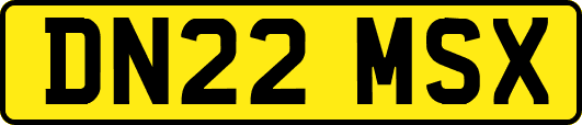 DN22MSX