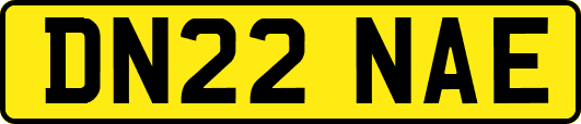DN22NAE