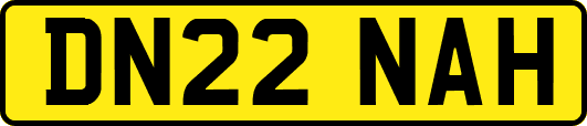 DN22NAH