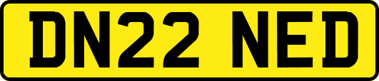 DN22NED