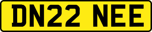 DN22NEE